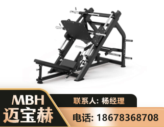 襄阳45°倒蹬训练器