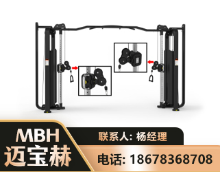 襄阳大飞鸟训练器