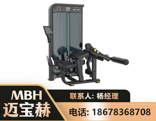 襄阳卧式屈腿训练器