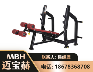 襄阳豪华下斜卧推架
