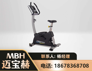 襄阳立式健身车